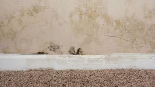 Damp Proofing Contractors Manchester