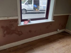 plastered
