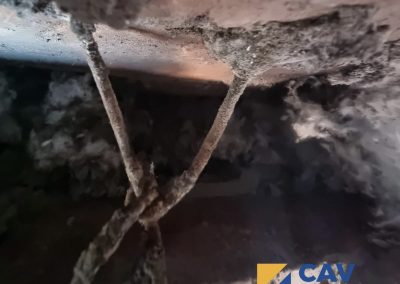 Cavity Wall Tie