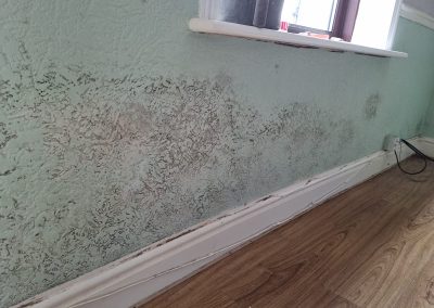 Black Mould and Damp