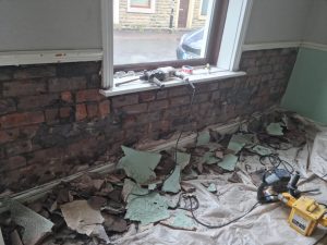 Black Mould 2