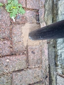 External Pointing