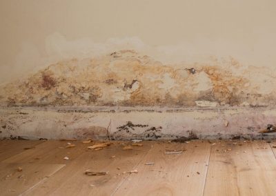 Rising Damp