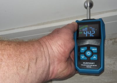 Damp Survey