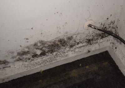 Mould