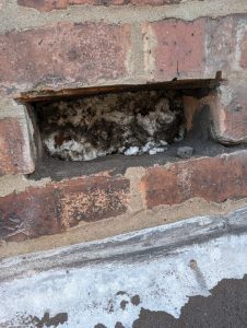 Damp Insulation