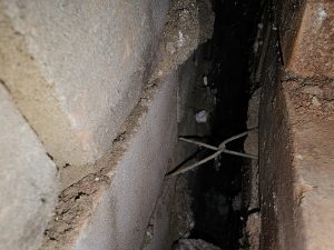 Wall Ties