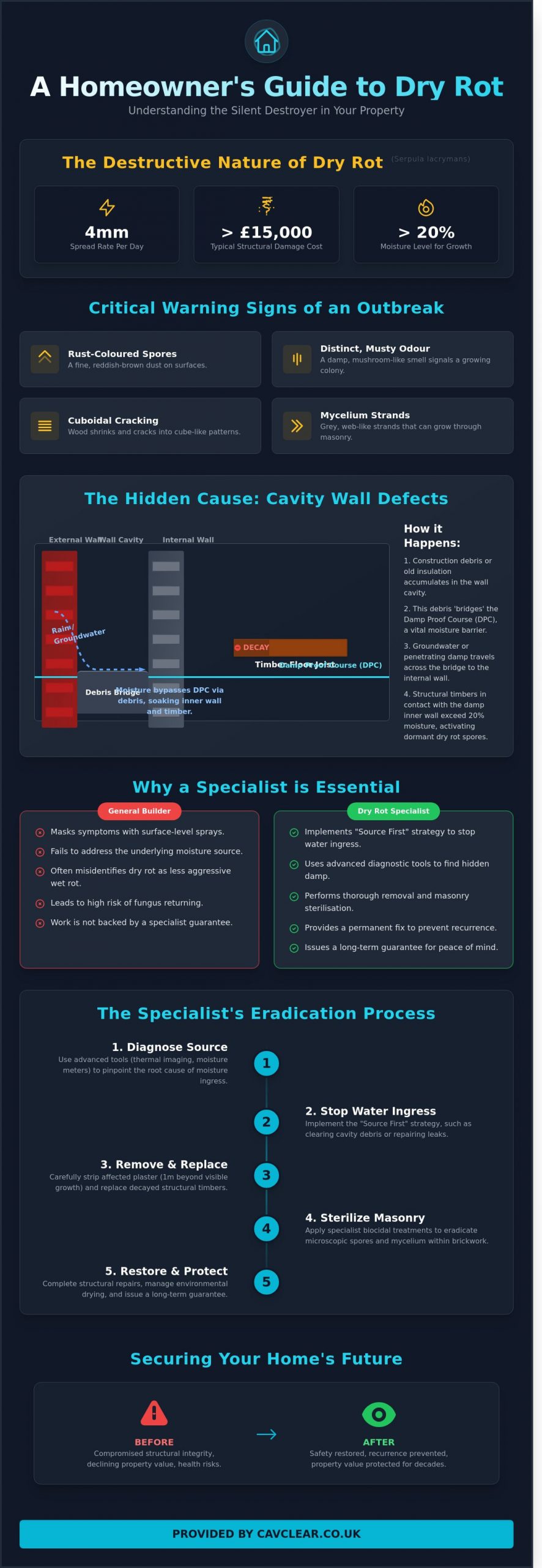 Dry Rot Specialist: Expert Identification, Treatment, and Structural Repairs