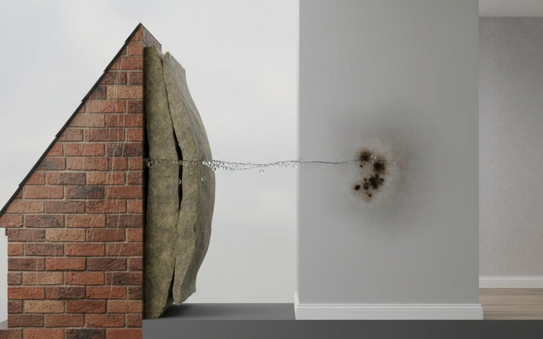 Damp Caused by Cavity Wall Insulation: A Comprehensive Guide to Identification and Removal