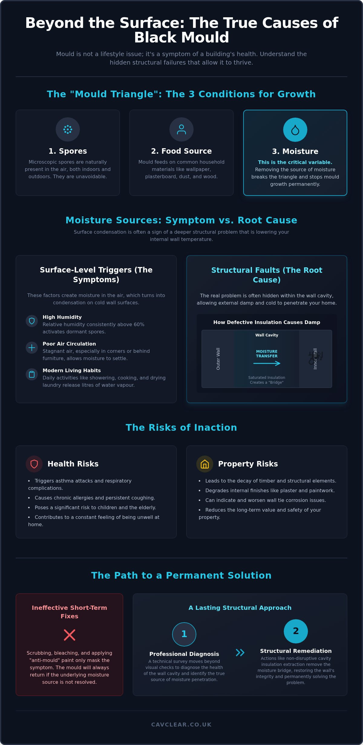 Black Mould on Walls: Identifying Root Causes and Permanent Solutions